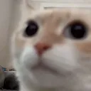 BigOlSideEye