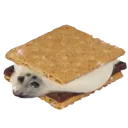 sealsmore