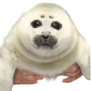 sealgrab