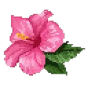hibiscus_flower