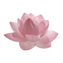 pink_lotus_flowr