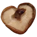 92_mushheart