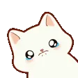 SajmunCry
