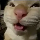 emoji_35