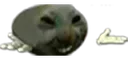 catxdddddd