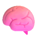 brain