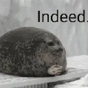 indeedseal