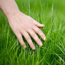 istockphoto486187560612x612