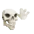 SkeleWave