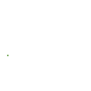 Tick