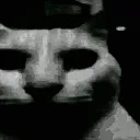 meo_trauma2