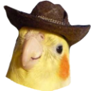 cowbirb Discord emoji