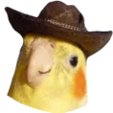 cowbirb