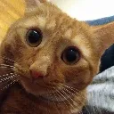 goob