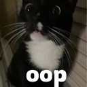 oop