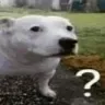 quog