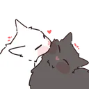 kitty