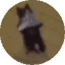 emoji_79 emoji_79