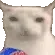 catsnack