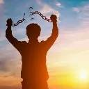 IMFREE