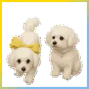 penny_and_leia