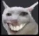 catheh