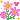 001_pink_flowers
