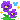 6_flowers