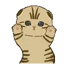 WiggleCat