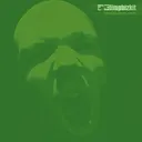 Limp_bizkit_results_may_vary