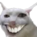 Cat_grin