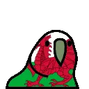 walesparrot