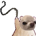 gwawa_angry_whip