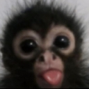 SG_monkey Discord emoji