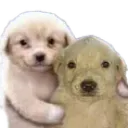 puphug