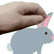 bunnypet