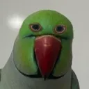 normalbird