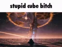 stupidcubebitchtheend