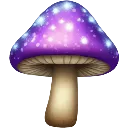 shroom3