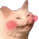 hihiblush