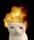 SlipsMindExplode