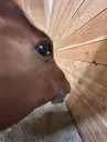stare2