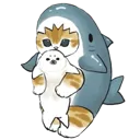catshark3