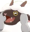 RayWoo