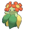 dancingbellossom