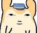 jerm