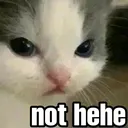 nothehecat