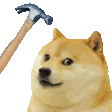 bonkdoge