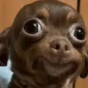 kpek