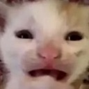 WAHHH Discord Emoji - EthanIsCools Grow A Garden 2 | Stocks Notifier Server